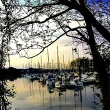 by michael  farnham