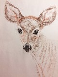by Dana Koffenberger