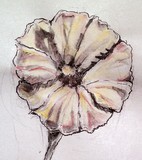 by Dana Koffenberger