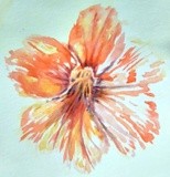 by Dana Koffenberger
