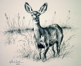 by Mike Worthen