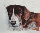 by DeLaine  Klar