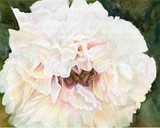 by Laurie Rohner