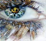 by Denise Catino