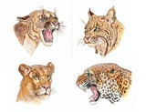 by Merilyn Carpenter
