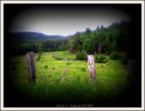by carla Whitham (Vigneau)
