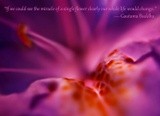by Lisa Marie Maupassant 