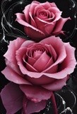 by Mihaela B