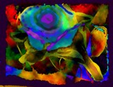 by Cindy Kiser