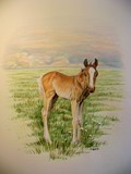 by Gayle Taylor