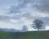 by Fiona Hooper