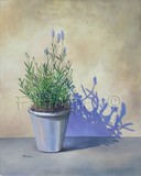 by Fiona Hooper