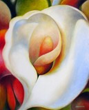 by carmen melton
