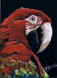by Terri Walker
