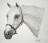 by Laura Smith
