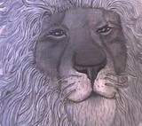 by Jeri Redmon
