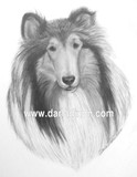 by Darla Dixon