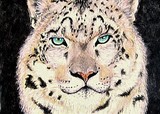 by sandy lippitt