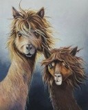 by nicolee payne
