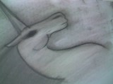 by Rachel Scott