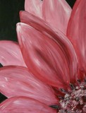by Hope Clark
