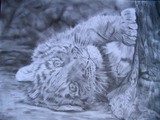 by Katie Z