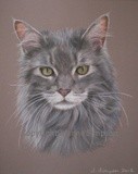 by Joanne Simpson-Connor