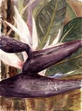 by Marilyn Barton