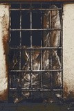 by Nikolay Semyonov