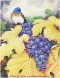 by Amy Turner