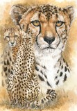 by Barbara Keith