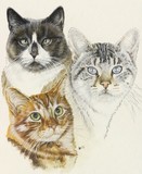 by Barbara Keith