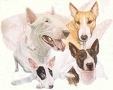 by Barbara Keith