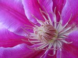 by Kathy Beekman
