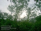 by Nilantha Lokunarangode