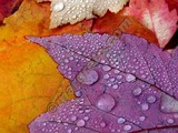 by margreto o