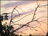 by Heli Aarniranta