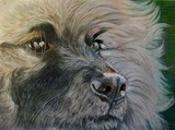 by Sue Clinker