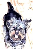 by Penny Everhart