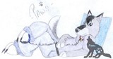 by Paws BrokenSpirit