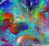 by Stefani Wehner