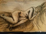 by lisa rubino