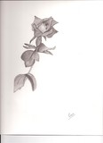 by Erin Richards