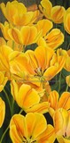 by Angela Stanbridge