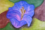 by Deborah Rosier