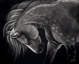 by Jennifer Jeffris