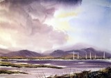 by Steven Cronin