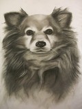 by Brook Tate