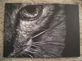by Geana Lijek