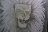 by Cole Soucie